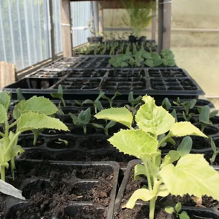 فندق مبيت وإفطار Cascina Foresto Cossato