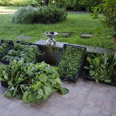 Cascina Foresto Bed & Breakfast 3*