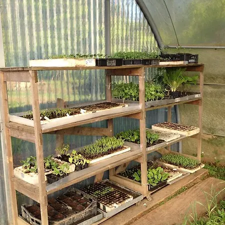 Cascina Foresto Cossato